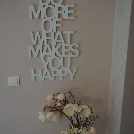 Anbindung In Den Nationalpark Eifel Fuer 6 Personen Und Max 2 Hunde Inklusive Terrasse 公寓 施莱登