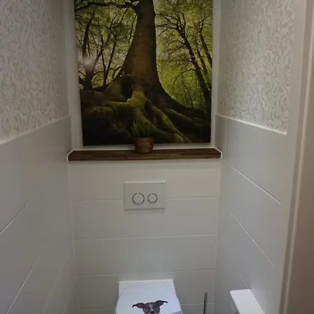 Anbindung In Den Nationalpark Eifel Fuer 6 Personen Und Max 2 Hunde Inklusive Terrasse 公寓