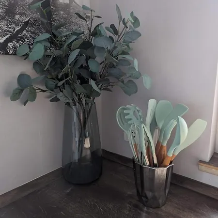 Anbindung In Den Nationalpark Eifel Fuer 6 Personen Und Max 2 Hunde Inklusive Terrasse 公寓 施莱登