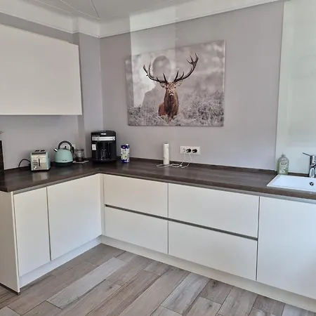 Anbindung In Den Nationalpark Eifel Fuer 6 Personen Und Max 2 Hunde Inklusive Terrasse Apartment *