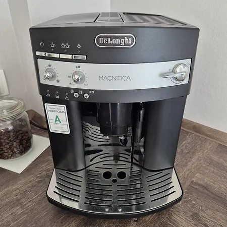 Anbindung In Den Nationalpark Eifel Fuer 6 Personen Und Max 2 Hunde Inklusive Terrasse 施莱登