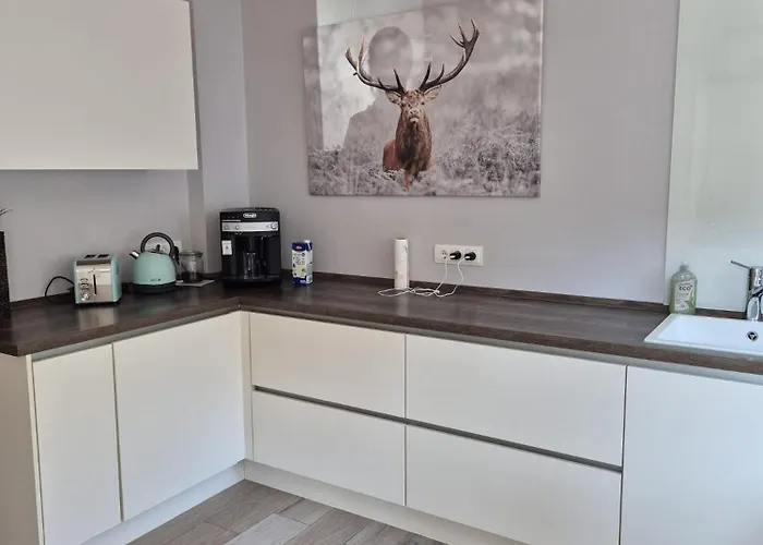 Anbindung In Den Nationalpark Eifel Fuer 6 Personen Und Max 2 Hunde Inklusive Terrasse Daire *